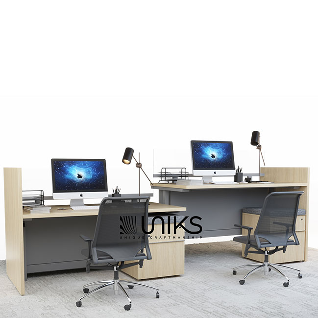 雙人桌double desk